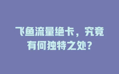 飞鱼流量绝卡，究竟有何独特之处？