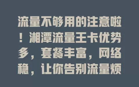 流量不够用的注意啦！湘潭流量王卡优势多，套餐丰富，网络稳，让你告别流量烦恼，畅快上网