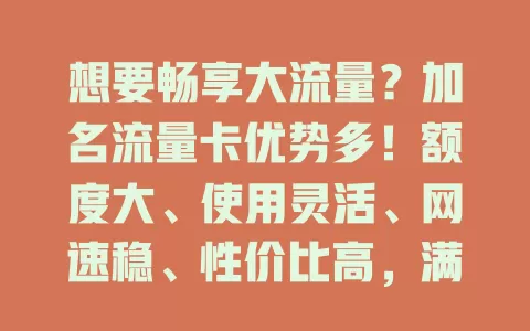 想要畅享大流量？加名流量卡优势多！额度大、使用灵活、网速稳、性价比高，满足多样需求