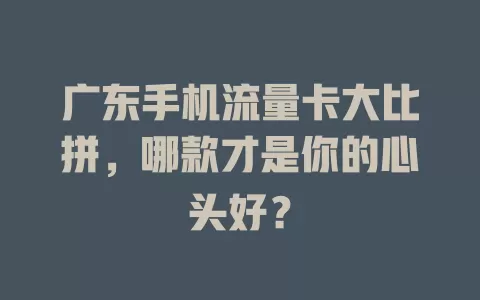 广东手机流量卡大比拼，哪款才是你的心头好？