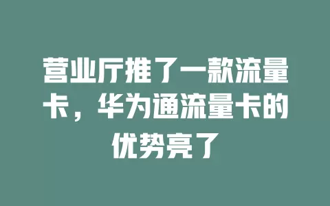 营业厅推了一款流量卡，华为通流量卡的优势亮了