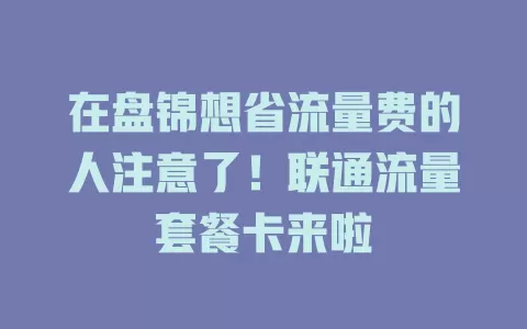 在盘锦想省流量费的人注意了！联通流量套餐卡来啦