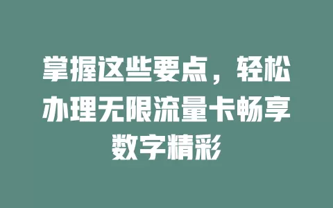 掌握这些要点，轻松办理无限流量卡畅享数字精彩