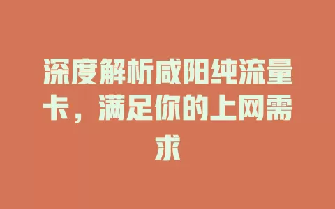 深度解析咸阳纯流量卡，满足你的上网需求