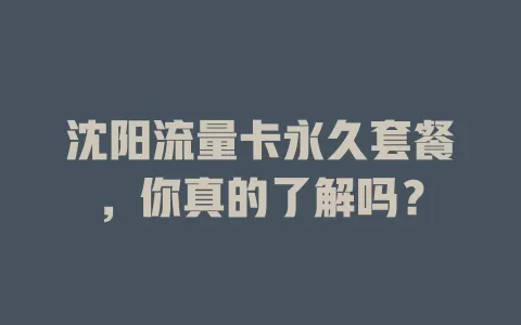 沈阳流量卡永久套餐，你真的了解吗？