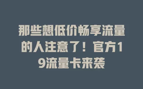 那些想低价畅享流量的人注意了！官方19流量卡来袭