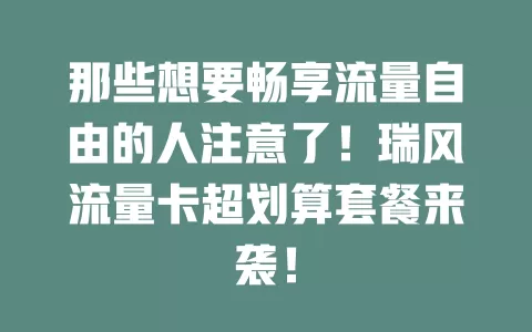 那些想要畅享流量自由的人注意了！瑞风流量卡超划算套餐来袭！