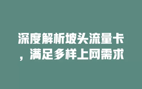 深度解析坡头流量卡，满足多样上网需求