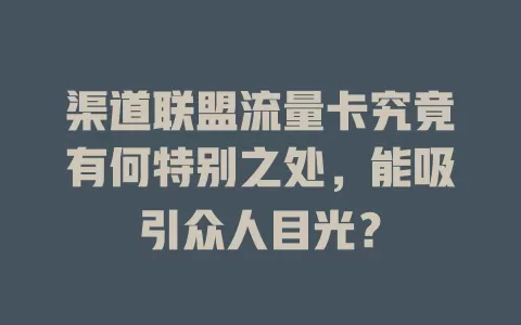 渠道联盟流量卡究竟有何特别之处，能吸引众人目光？