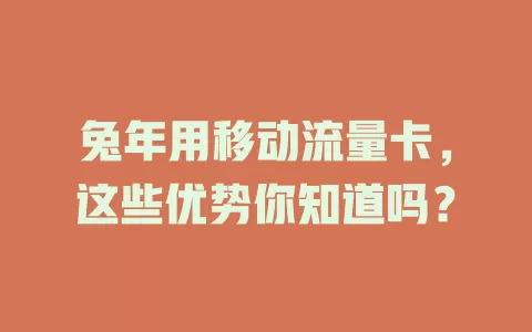 兔年用移动流量卡，这些优势你知道吗？