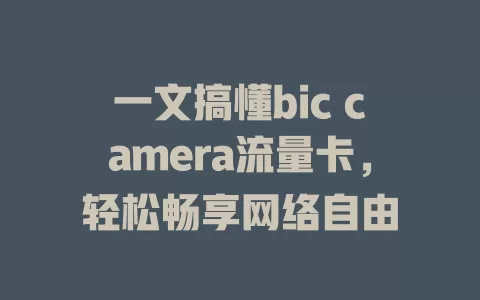 一文搞懂bic camera流量卡，轻松畅享网络自由