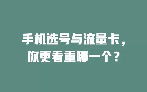 手机选号与流量卡，你更看重哪一个？