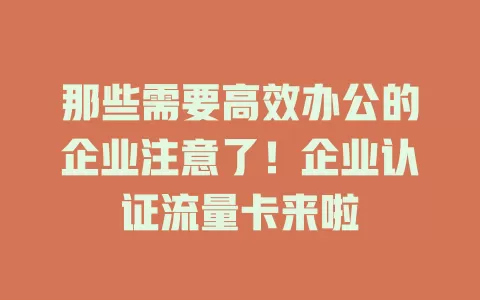 那些需要高效办公的企业注意了！企业认证流量卡来啦