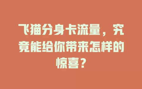 飞猫分身卡流量，究竟能给你带来怎样的惊喜？