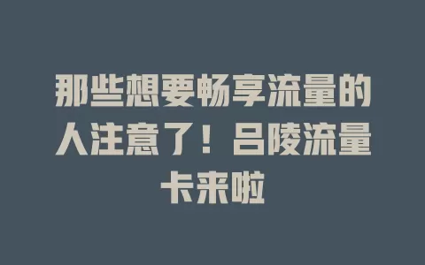 那些想要畅享流量的人注意了！吕陵流量卡来啦
