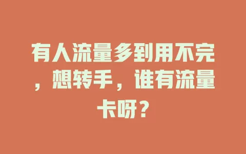 有人流量多到用不完，想转手，谁有流量卡呀？