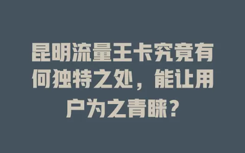 昆明流量王卡究竟有何独特之处，能让用户为之青睐？