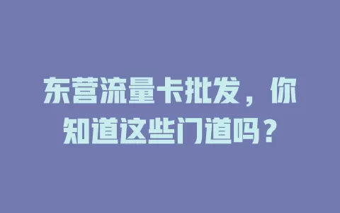 东营流量卡批发，你知道这些门道吗？