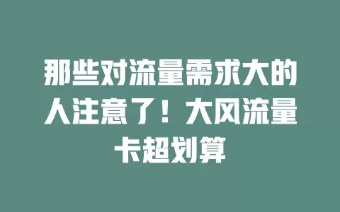 那些对流量需求大的人注意了！大风流量卡超划算