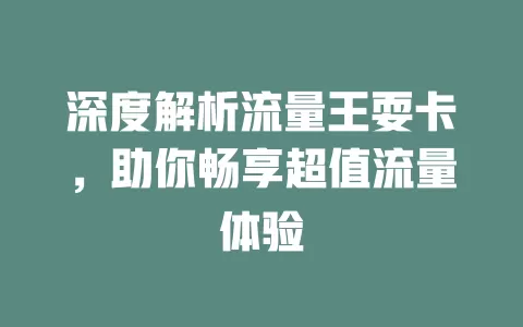 深度解析流量王耍卡，助你畅享超值流量体验