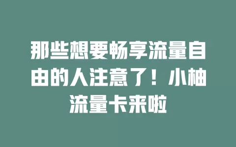 那些想要畅享流量自由的人注意了！小柚流量卡来啦