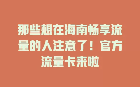 那些想在海南畅享流量的人注意了！官方流量卡来啦