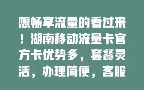想畅享流量的看过来！湖南移动流量卡官方卡优势多，套餐灵活，办理简便，客服贴心，助你开启畅快流量之旅