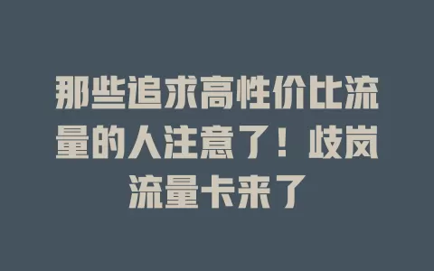 那些追求高性价比流量的人注意了！歧岚流量卡来了