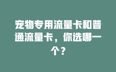 宠物专用流量卡和普通流量卡，你选哪一个？