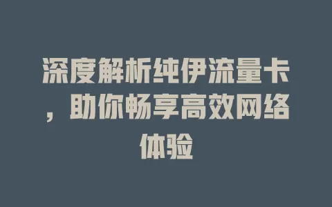 深度解析纯伊流量卡，助你畅享高效网络体验