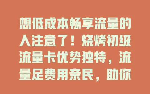想低成本畅享流量的人注意了！烧烤初级流量卡优势独特，流量足费用亲民，助你自由穿梭网络世界，解决流量烦恼