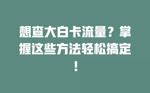 想查大白卡流量？掌握这些方法轻松搞定！