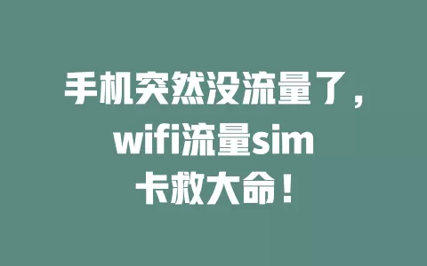 手机突然没流量了，wifi流量sim卡救大命！