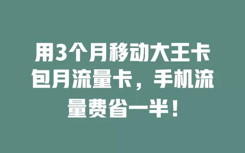 用3个月移动大王卡包月流量卡，手机流量费省一半！