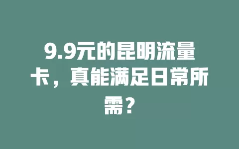 9.9元的昆明流量卡，真能满足日常所需？