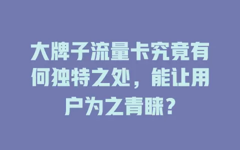 大牌子流量卡究竟有何独特之处，能让用户为之青睐？
