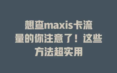 想查maxis卡流量的你注意了！这些方法超实用