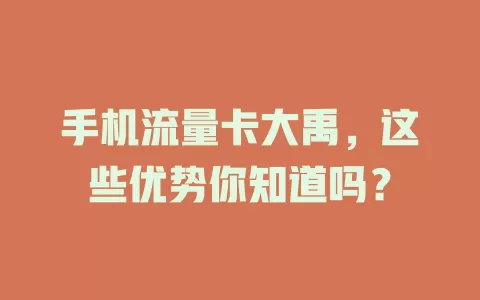 手机流量卡大禹，这些优势你知道吗？