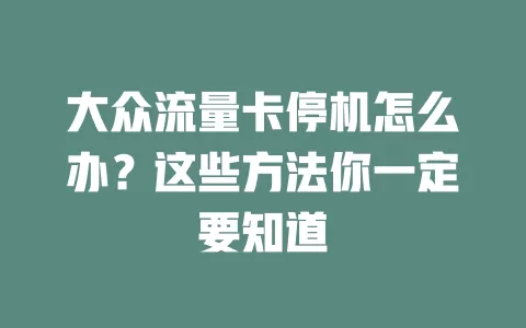 大众流量卡停机怎么办？这些方法你一定要知道