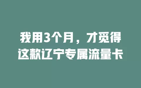 我用3个月，才觅得这款辽宁专属流量卡