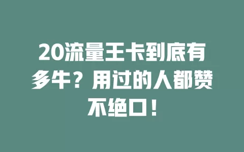 20流量王卡到底有多牛？用过的人都赞不绝口！
