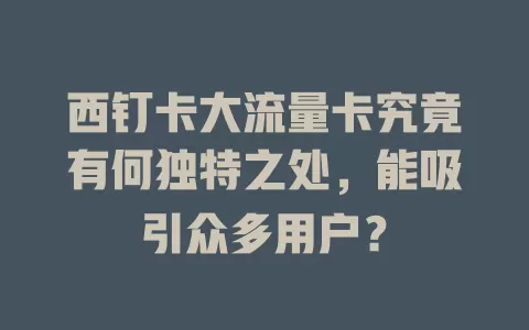 西钉卡大流量卡究竟有何独特之处，能吸引众多用户？