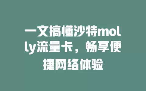 一文搞懂沙特molly流量卡，畅享便捷网络体验