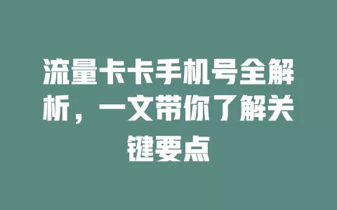 流量卡卡手机号全解析，一文带你了解关键要点