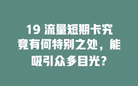 19 流量短期卡究竟有何特别之处，能吸引众多目光？