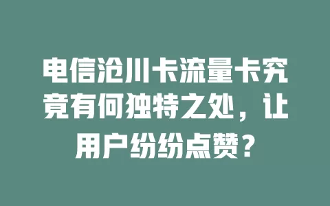 电信沧川卡流量卡究竟有何独特之处，让用户纷纷点赞？