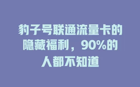 豹子号联通流量卡的隐藏福利，90%的人都不知道