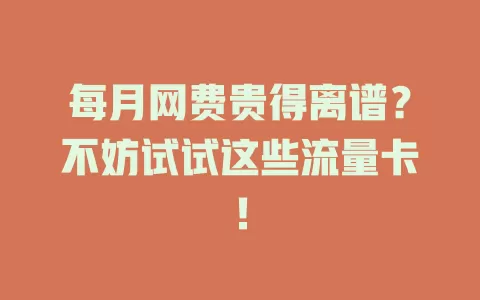 每月网费贵得离谱？不妨试试这些流量卡！
