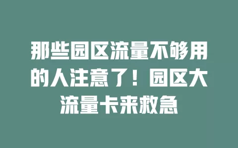 那些园区流量不够用的人注意了！园区大流量卡来救急