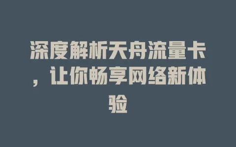 深度解析天舟流量卡，让你畅享网络新体验